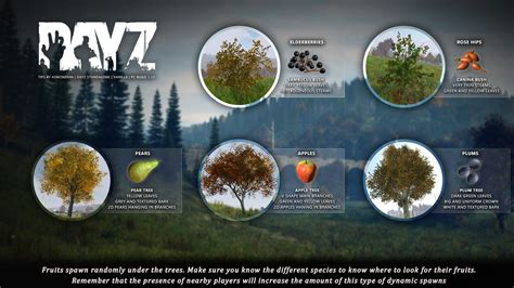 Know Your Trees | Other Tools for DayZ