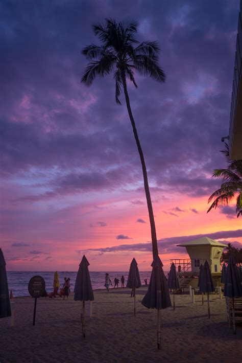 The Best Hotel on Waikiki Beach — Never Settle Travel