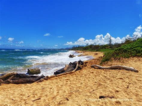 Lydgate Beach Park - Boss Frog's Snorkel, Bike & Beach Rentals