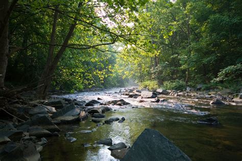 Hiking, Fishing and More at These Patuxent River Parks