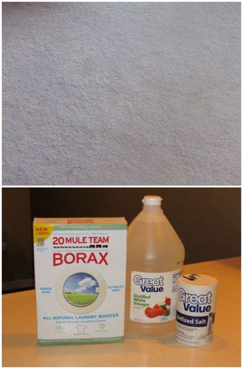 30 DIY Carpet Cleaner Projects - Easy Carpet Clean Ideas