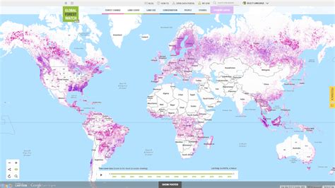 Could expanding forests be the key to our climate strategy? | World ...