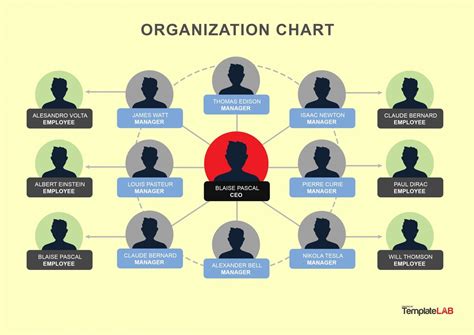 41 Organizational Chart Templates (Word, Excel, PowerPoint, PSD)