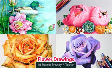 Daily Inspiration: 40 Beautiful Flower Drawing Tutorial Videos – Step ...