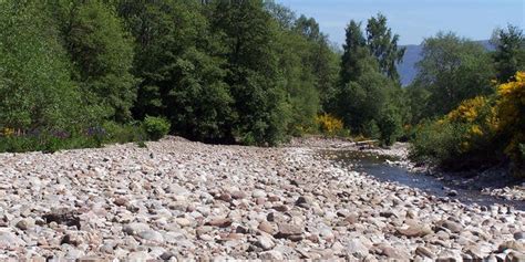 ’Brazil Nut Effect’ Helps Explain How Rivers Resist Erosion, Penn Team Finds | myScience / news ...