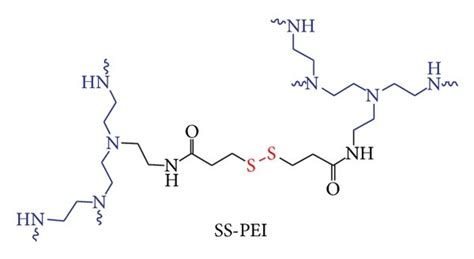 (a) Chemical structure of bioreducible polyethylenimine (SS-PEI); (b)... | Download Scientific ...