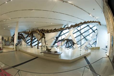 Don't Miss Ultimate Dinosaurs at the Royal Ontario Museum