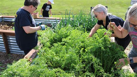 Master Gardener tips for the Panhandle – Week of Sept.12 , 2022 | IANR News