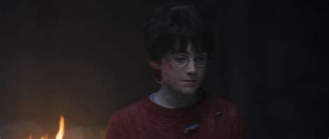 Harry Potter and the Sorcerer's Stone - Daniel Radcliffe Image ...