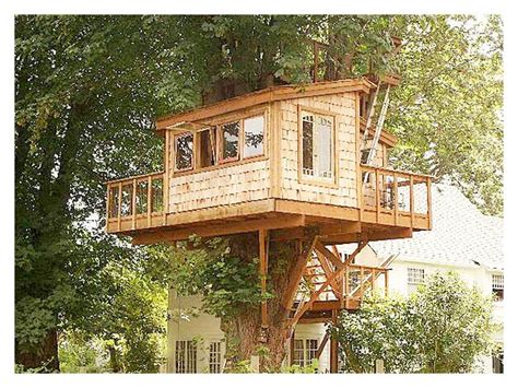 New Tree House Designs And Plans Free - New Home Plans Design