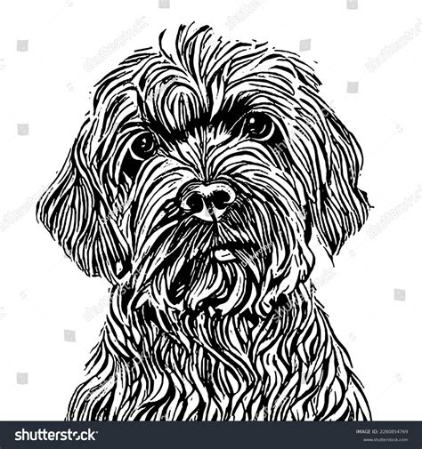 Cockapoo Line Drawing Dog Illustration Black Stock Illustration 2280854769 | Shutterstock