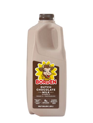 Dutch Chocolate Milk - Borden Dairy