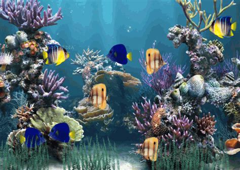 Animated Aquarium Wallpaper For Windows 7 Free