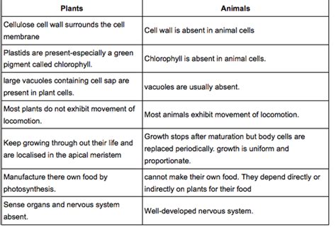 Cell Structure And Function - Working with animals information and facts