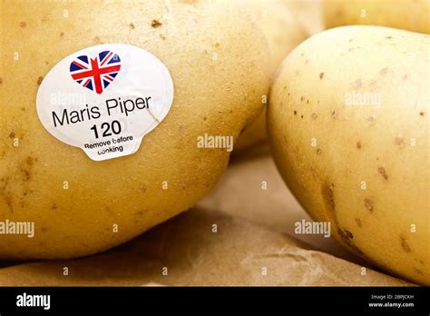 Maris Piper Potatoes Stock Photo - Alamy