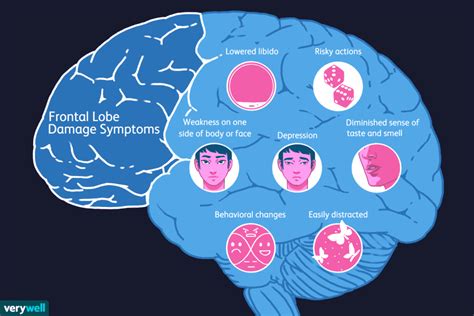 Frontal Lobe Damage: Symptoms, Cause, Diagnosis, Treatment