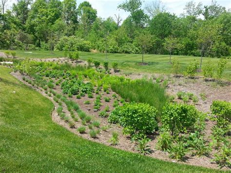 Bioretention Maintenance and Inspections - What You Need To Know | Bluegrass Lawncare