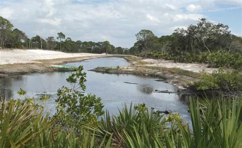 Juvenile Tarpon Habitat Connectivity - Outdoor Enthusiast Lifestyle Magazine