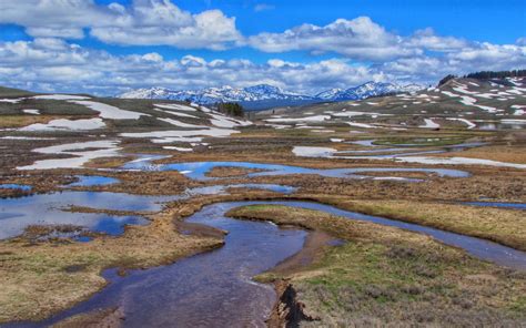 Exploring Hayden Valley in Spring - A Yellowstone Life