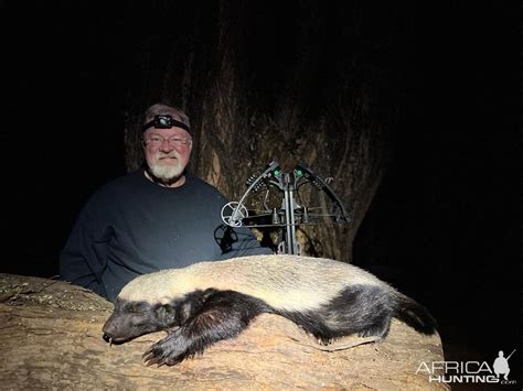 Honey Badger Crossbow Hunt South Africa | AfricaHunting.com