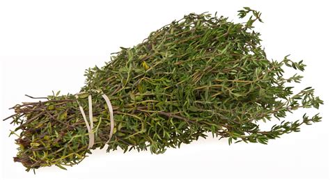 File:Thyme-Bundle.jpg - Wikimedia Commons