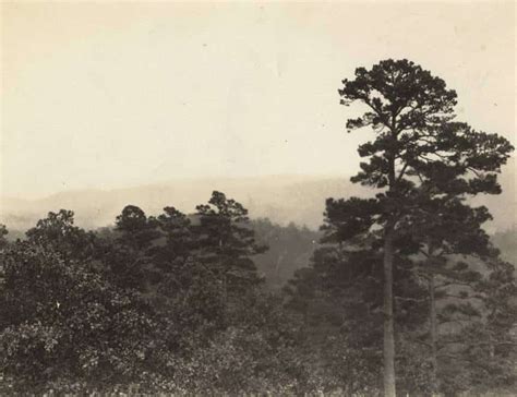 Oklahoma State Forestry History – ODAFF