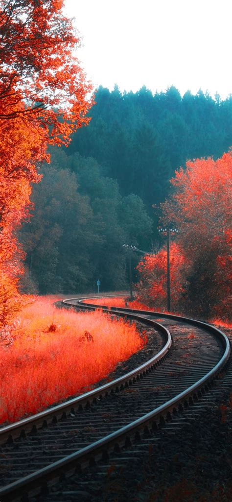 railway autumn forest iPhone 11 Wallpapers Free Download