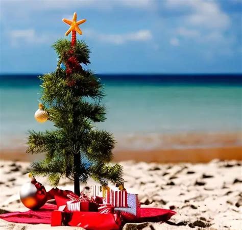 Christmas in Australia: Facts About Australian Christmas Traditions - Primary Facts