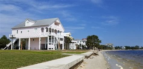 It's not for me - Shell Point Beach, Crawfordville Traveller Reviews - Tripadvisor