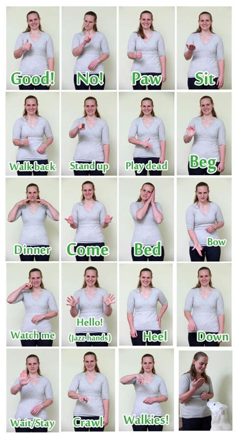 Sign language for deaf dogs. TIP: always teach hand signals with vocal ...