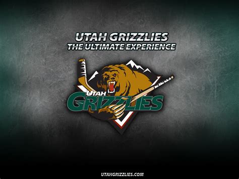 Pin on Utah Grizzlies