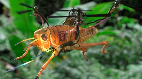 Insect Spy Drone For Sale - Drone HD Wallpaper Regimage.Org