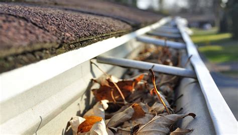 Window Washing | Gutter Cleaning | Power Washing - Round Lake, IL