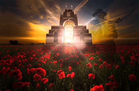 Remembrance day, veterans day, poppy field, poppies, remembrance sunday ...