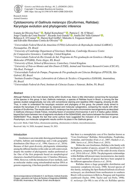 (PDF) Cytotaxonomy of Gallinula melanops (Gruiformes, Rallidae): Karyotype evolution and ...