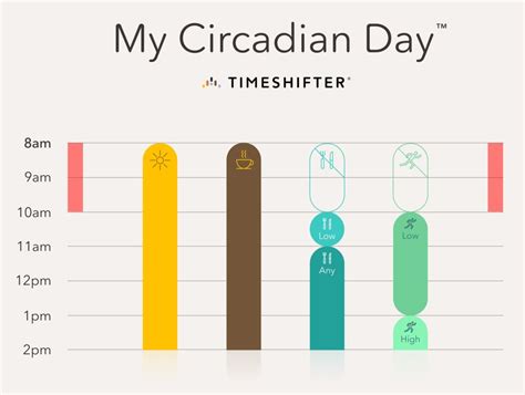 My Circadian Day™ | Timeshifter®