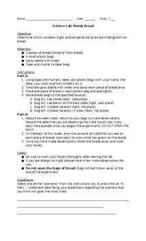 Moldy Bread Science Experiment by Ciencias with Sarah | TPT