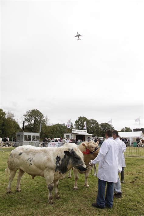 Gallery – The Vale of Glamorgan Show