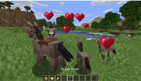 Minecraft: Animal Breeding Guide - How-To Breed All Animals! (2021 ...