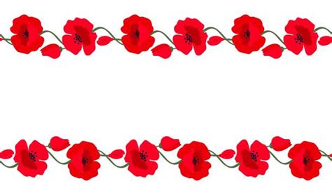 Poppy Border Stock Photos, Pictures & Royalty-Free Images - iStock