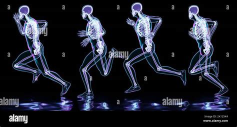 skeleton system of running man, bone Anatomy while run, human physical ...