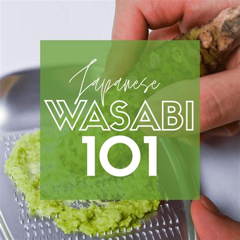 Wasabi 101 (Incl. How to Grate Wasabi Root) - Sudachi Recipes