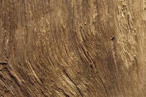 Free Image of Background texture of rough wood | Freebie.Photography