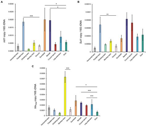 Frontiers | Surfaces of gymnastic equipment as reservoirs of microbial ...