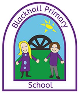 Blackhall Primary School - Curriculum – History