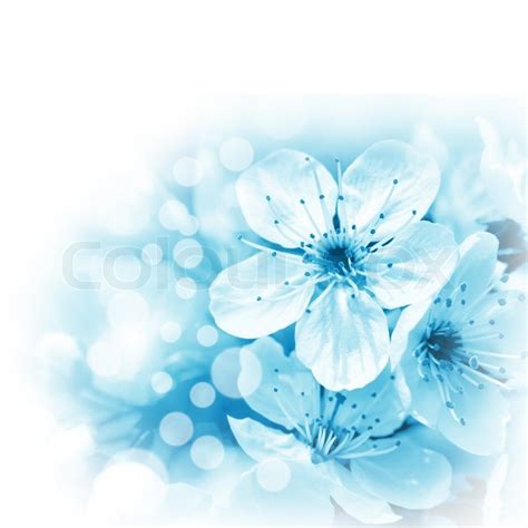 🔥 [40+] Light Blue Flower Wallpapers | WallpaperSafari