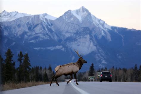 Canada opens public consultations on national climate adaptation strategy | Reuters