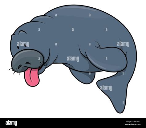 Manatee Cartoon - Manatee Cartoon Alamy Illustration | Landrisand