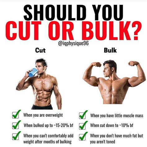 Workout Plan For Bulking And Cutting - workout plan at home for beginners