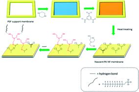 Preparation and characterization of an amphiphilic polyamide nanofiltration membrane with ...
